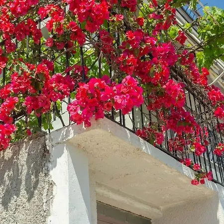 Apartment Blue Maraci 1 Access Nd Parking Himare