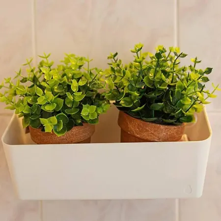 Blue Maraci 1 Access Nd Parking *