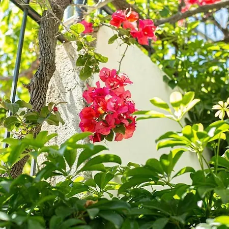 Blue Maraci 1 Access Nd Parking 公寓 希马拉