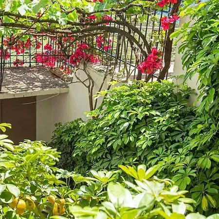 Blue Maraci 1 Access Nd Parking 公寓 *