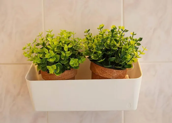 Blue Maraci 1 Access Nd Parking *