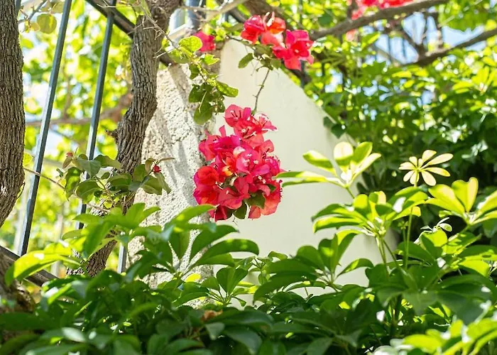 Blue Maraci 1 Access Nd Parking Apartment Himarë